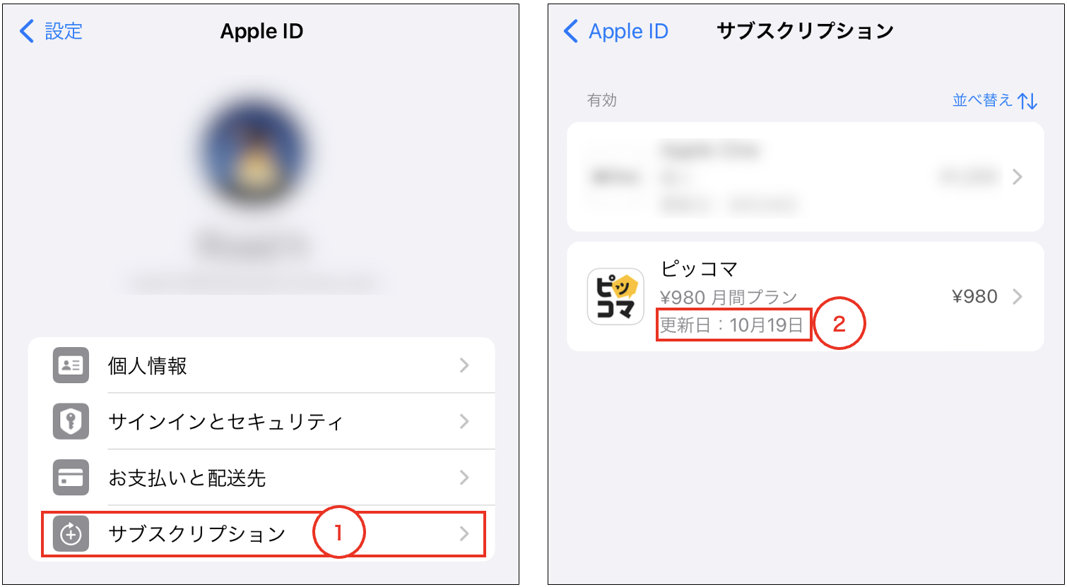 【他の方のご購入はお控え下さい】コッコプラウド様確認専用 定額プランとは ｜ Myプラゴ